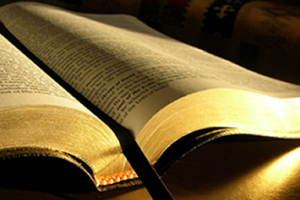 The Bible is the ultimate authority on every issue <br/>faithwalkers.com