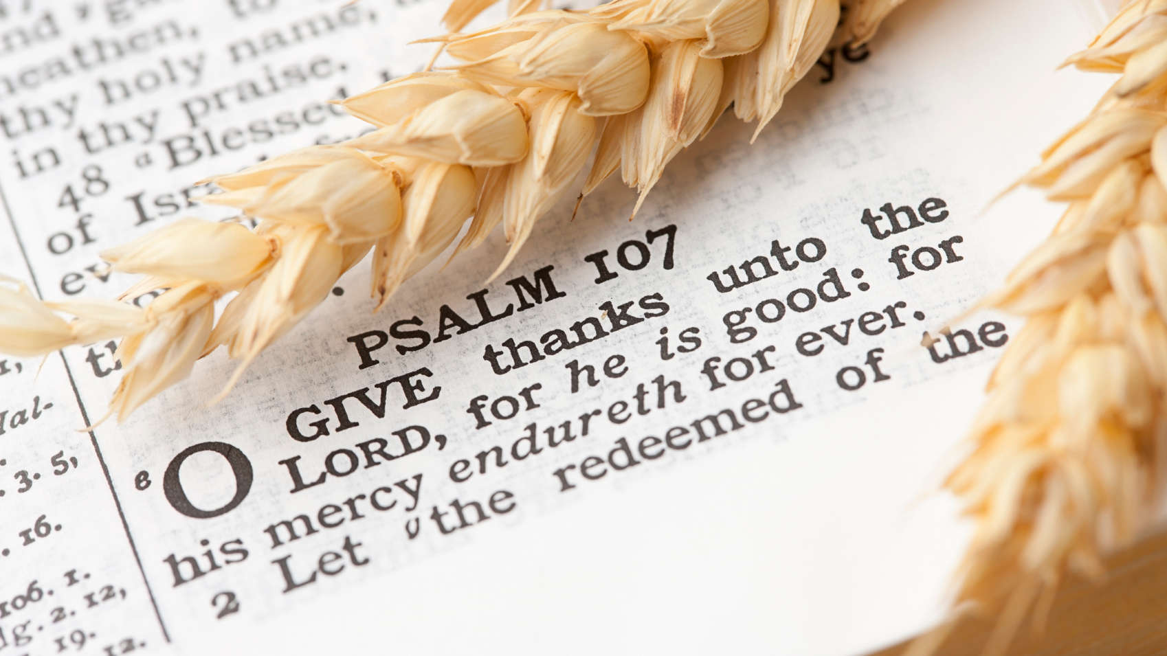 With Thanksgiving just around the corner, it's important to remember that God is good, and He is our refuge - even amid the most devastating of situations. Here are ten verses - in no particular order - that can help you express your gratitude to God for His protection, grace and faithfulness.