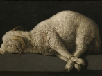 Lamb 