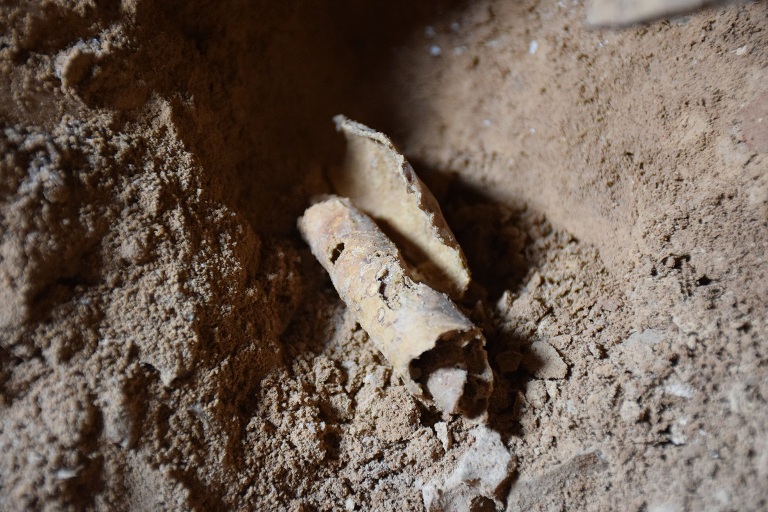 Evidence of a 12th cave related to the Dead Sea scrolls was found this week by Hebrew University of Jerusalem researchers. Archeologists, including Oren Gutfeld and Ahiad Ovadia from the university's Institute of Archeology -- aided by Randall Price and students of Liberty University in Virginia -- are the first people in more than 60 years to have discovered a new scroll cave. Prior to this find, it was believed only 11 caves had contained the coveted scrolls.