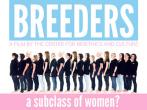 Surrogacy Breeders