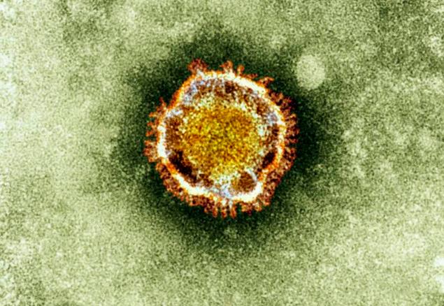 Another case MERS virus has been reported today in the United States. What exactly is this deadly virus and how can it be avoided?