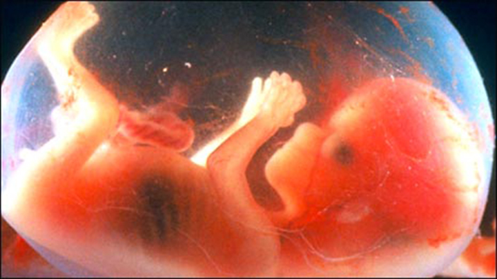 unborn-baby.jpg