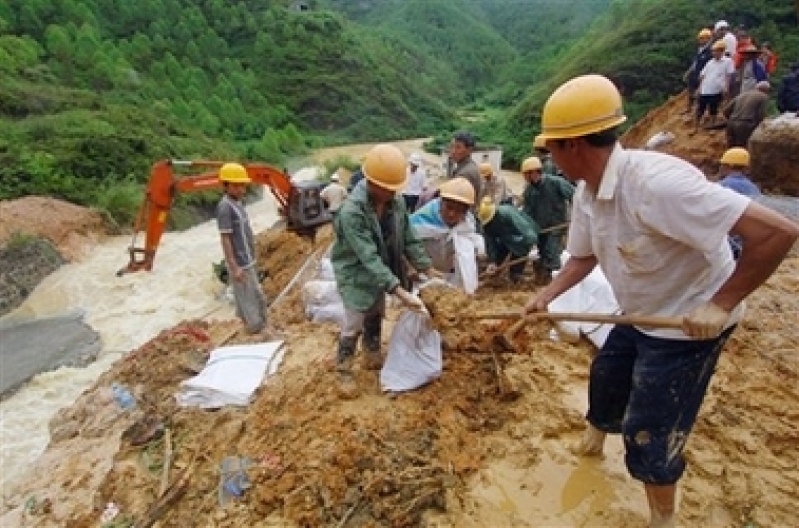 china11.jpg