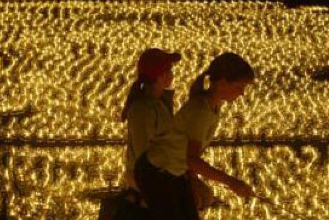 100萬支蠟燭為貧困兒童燃點在柏林