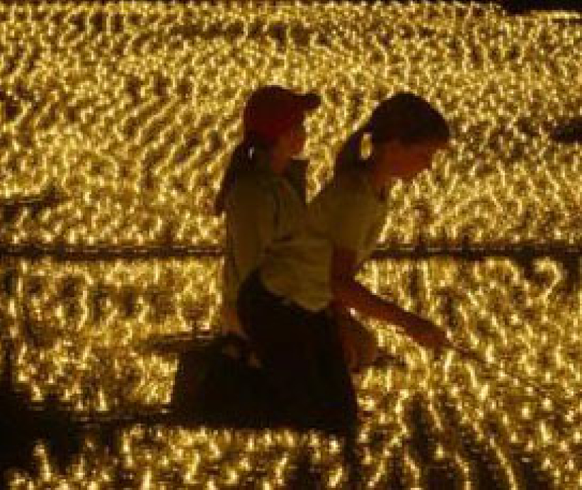 100萬支蠟燭為貧困兒童燃點在柏林