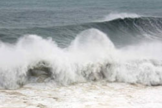 海棠來勢洶洶　台灣展望會啟動緊急救援機制