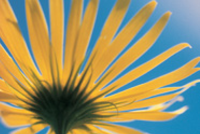 「智能設計」理論VS進化論 改寫美國學校生物課程