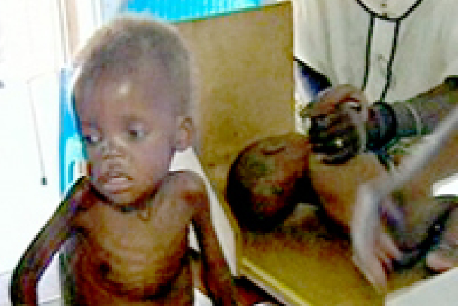 聯合國糧食計劃署：「世界忽視了飢餓問題」