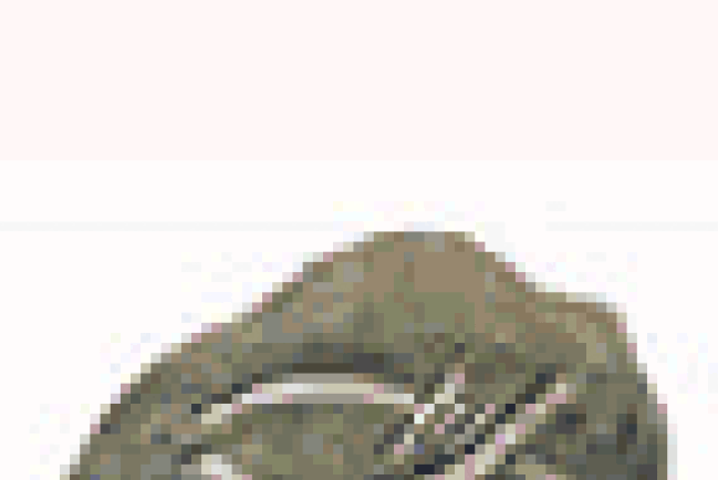 Open Doors「燈塔計劃」：運送347萬冊聖經書籍到中國