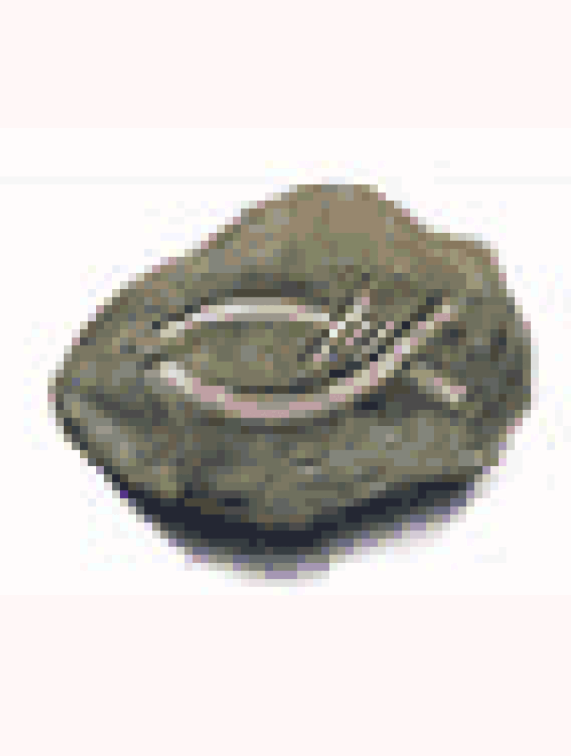 Open Doors「灯塔计划」：运送347万册圣经书籍到中国