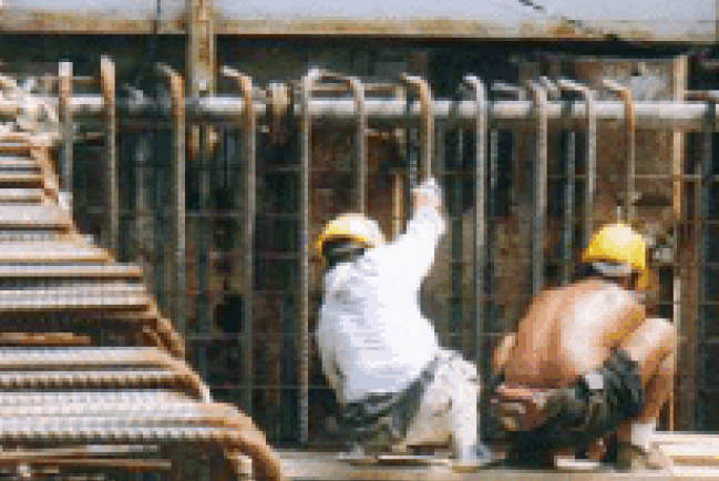 香港基督徒向各地領袖發出的減貧呼聲