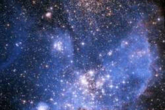 「智能設計」將正式走進美國堪州學堂