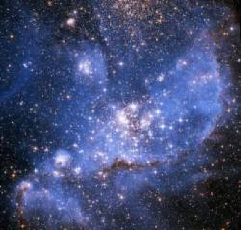 「智能设计」将正式走进美国堪州学堂