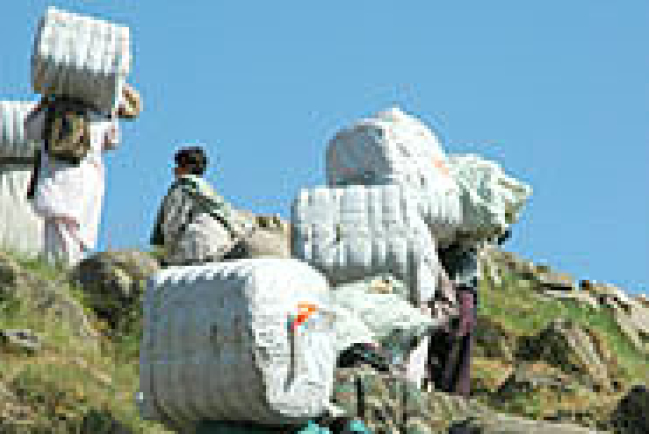 南亞地震災民300萬人棲身雪地