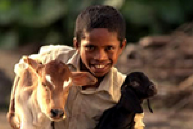 一隻白兔，改變一家人的生命?