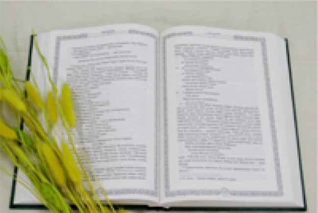 2025年以前：讓每個族群看懂聖經！