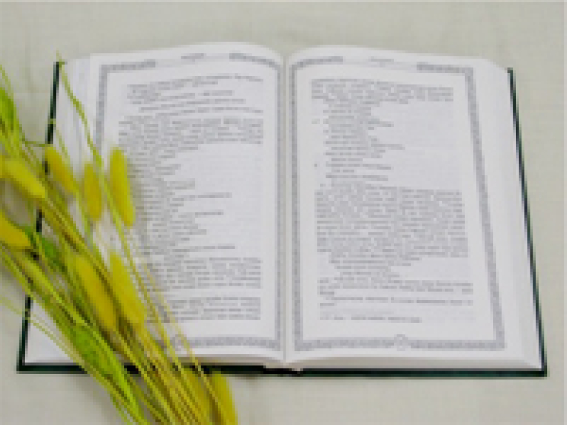 2025年以前：讓每個族群看懂聖經！