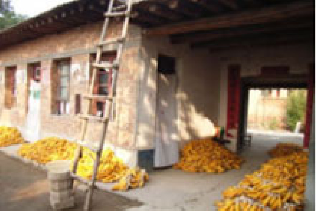 內地教會自養的情況與挑戰