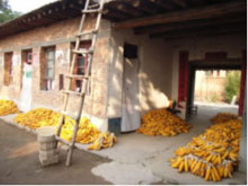 內地教會自養的情況與挑戰