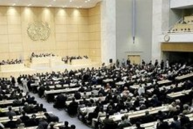 聯合國人權理事會召開首次會議，獲得國際教會團體支持