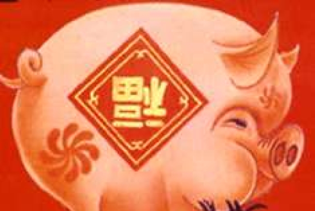 豬年論豬