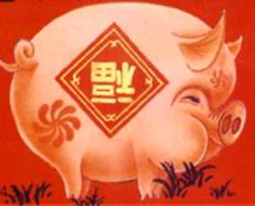 豬年論豬