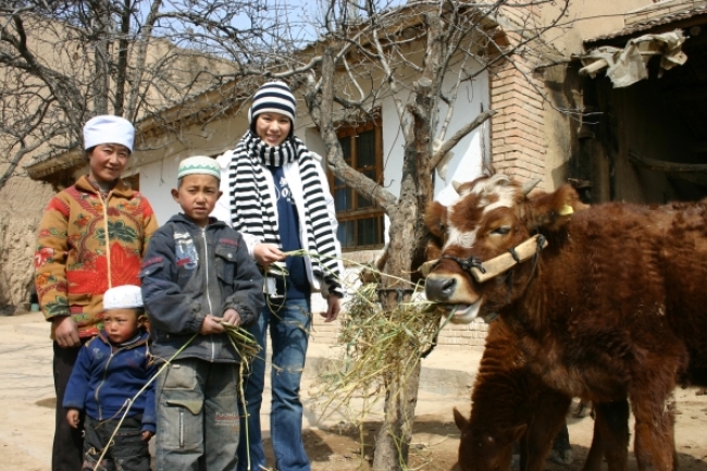 「樂施大使」胡杏兒赴蘭州探訪貧農歸來 籲港人助貧困同胞對抗貧窮