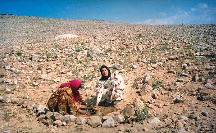 叙利亞旱災嚴重 預算需二千萬美元救援