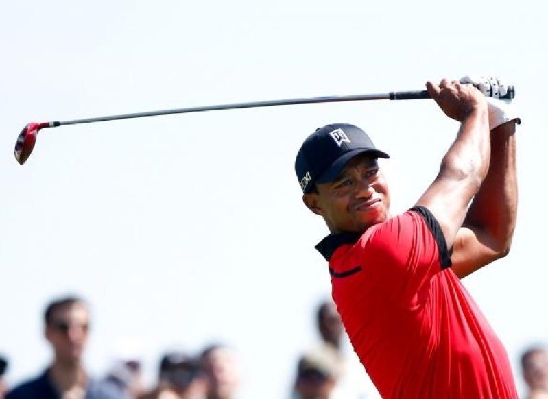 woods1.jpg