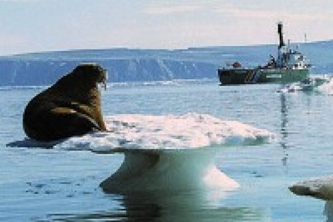 不少亞洲大城面臨氣候變化和海水上漲威脅