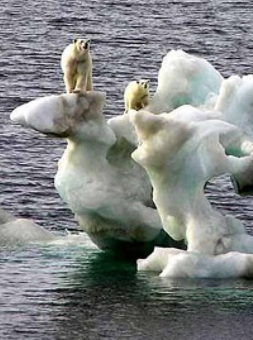 「國際地球母親日」昨誕生 提醒人類保護地球