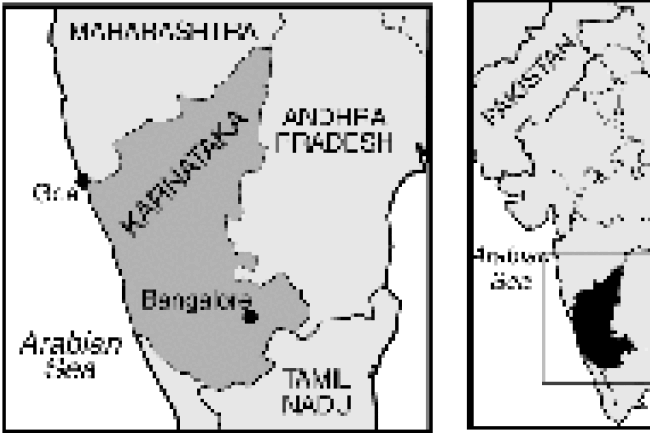 5月15日 賽‧巴巴 Sai Baba 教派