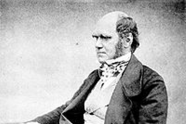 蕭文：進化論與創造論