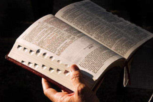調查揭露八成美國信徒無每日讀經習慣