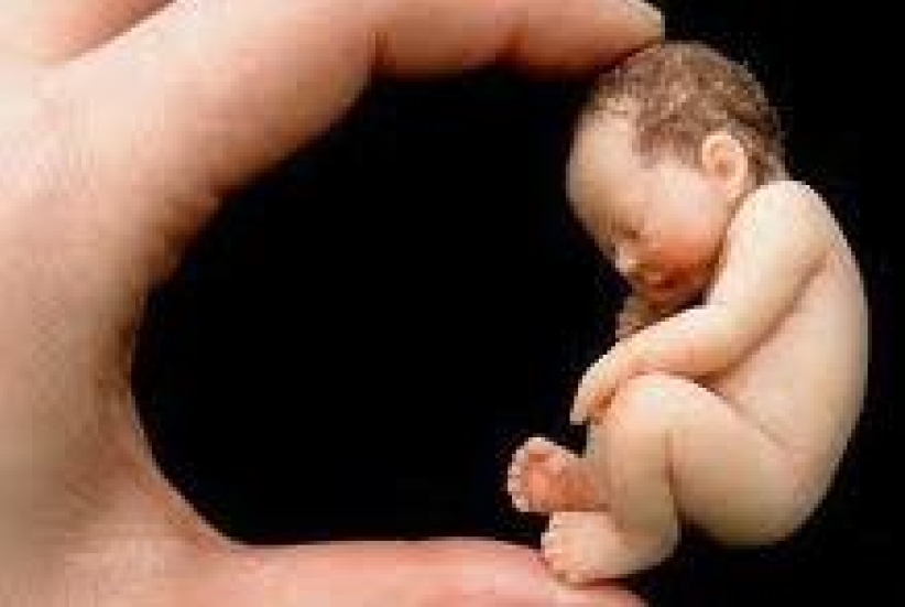 美天主教內部就墮胎議題的關注度產生分歧