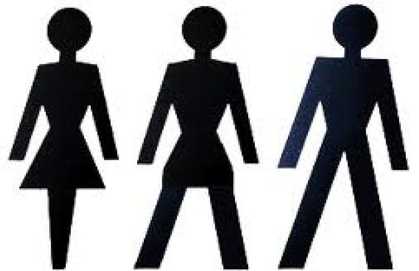 加拿大法案破壞性別區分 婦孺恐安全受威脅