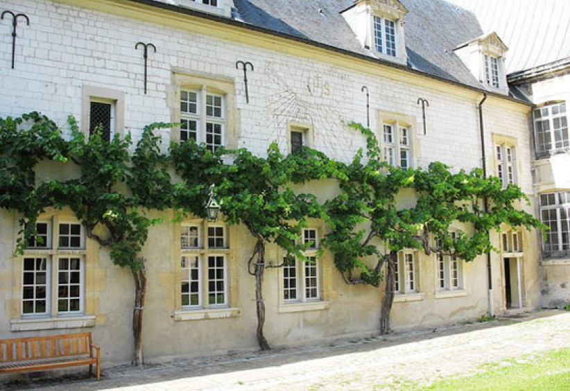 法國現世界倖存最古老釀聖酒的白葡萄藤