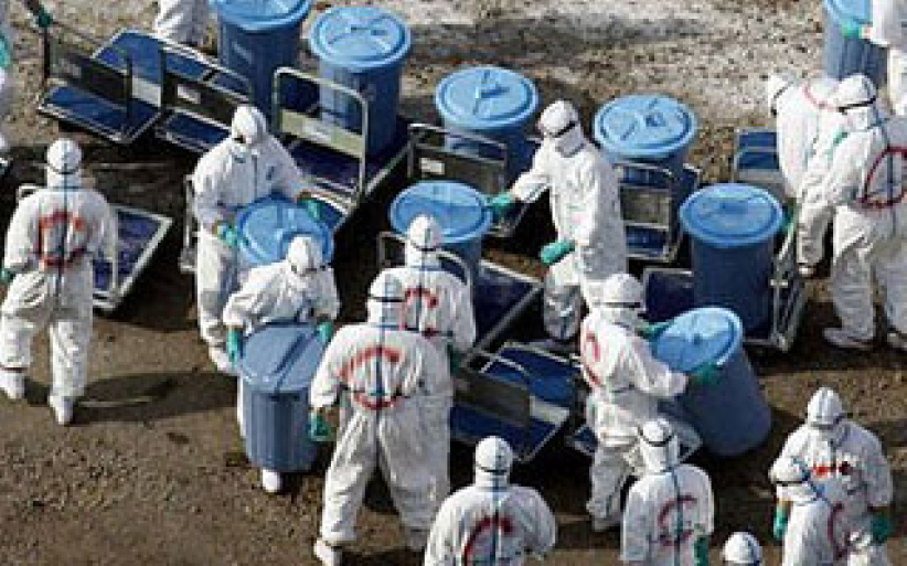 H7N9引「末日瘟疫」恐慌 人類或遇滅頂之災