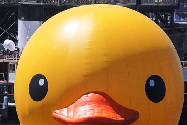 黃色橡皮鴨——被遺忘的使命