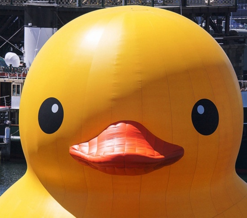 黃色橡皮鴨——被遺忘的使命