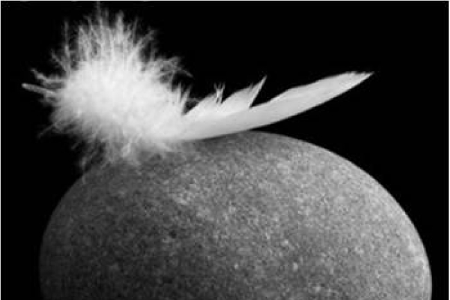 鄧瑞強博士 – 溫柔與嚴厲