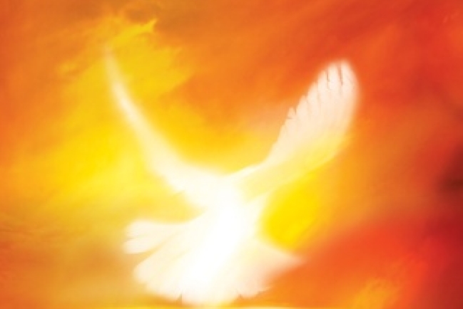 「回家」聚會八旬宣教士墮台意外險喪命