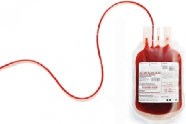 陳志全被拒捐血反應大 揭同性戀深層恐懼?