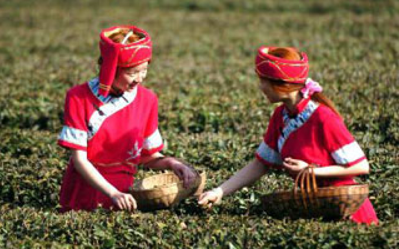 大陸異端二兩糧侵擾土家族 神州情籲代禱