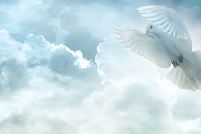 張景祥牧師:聖經與聖靈缺一不可