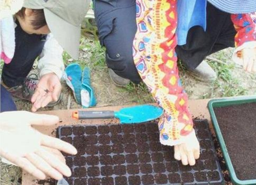 上帝帶領轉化土地 大埔使命農場「添恩園」成立