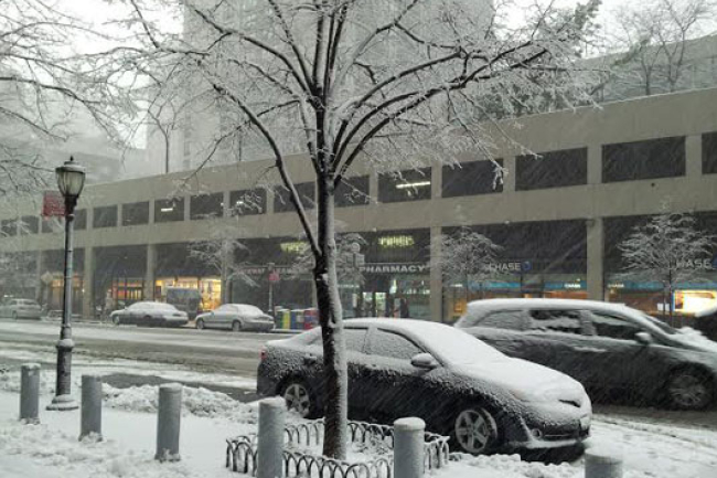 美東北迎來暴風雪 紐約市一夜換白裝