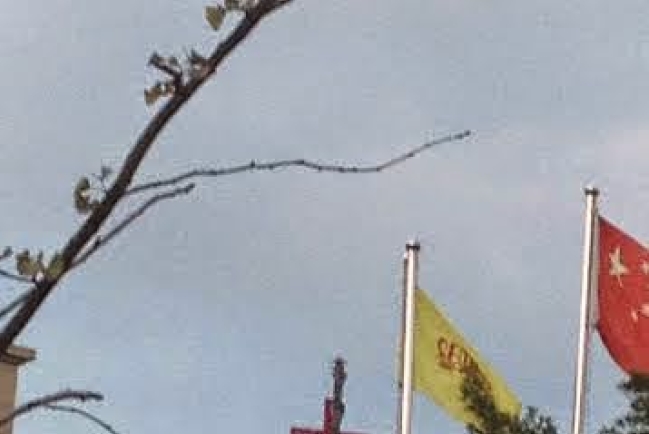 溫州平陽顯僑教堂信徒守護113天 十字架遭政府強拆