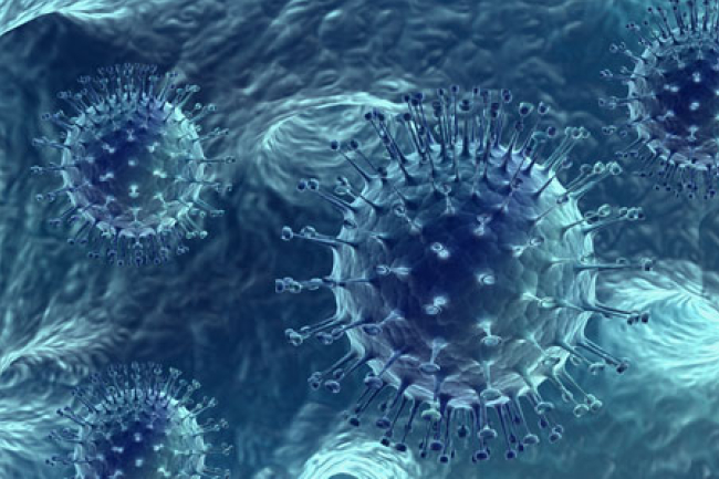 余創豪：宗教病毒？宗教進化？